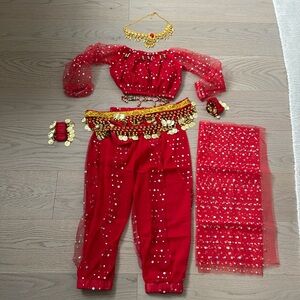 Girls belly dancer costume